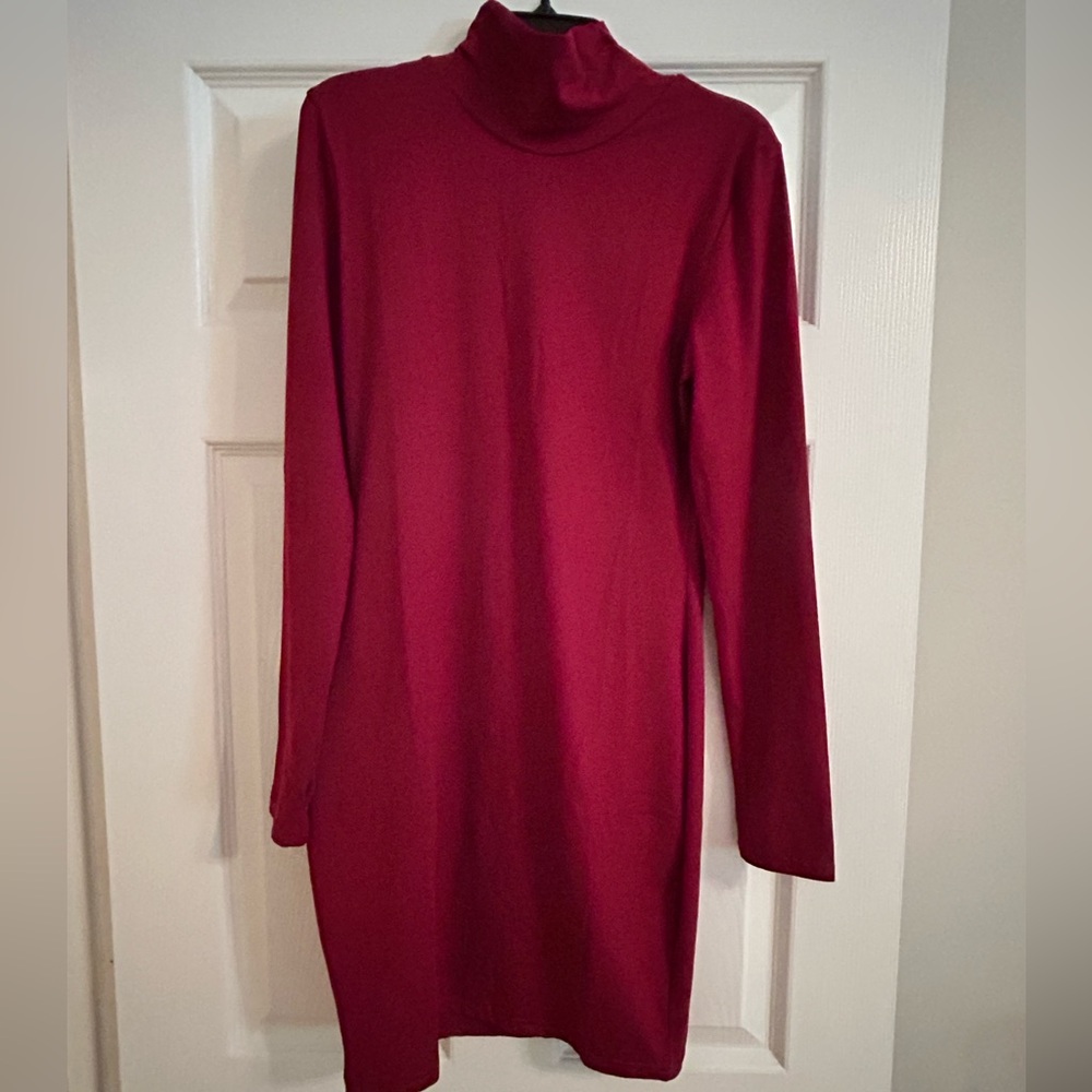 Vibrant Red Turtle Neck Dress
